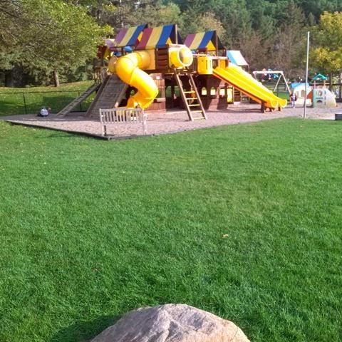 A playground for children